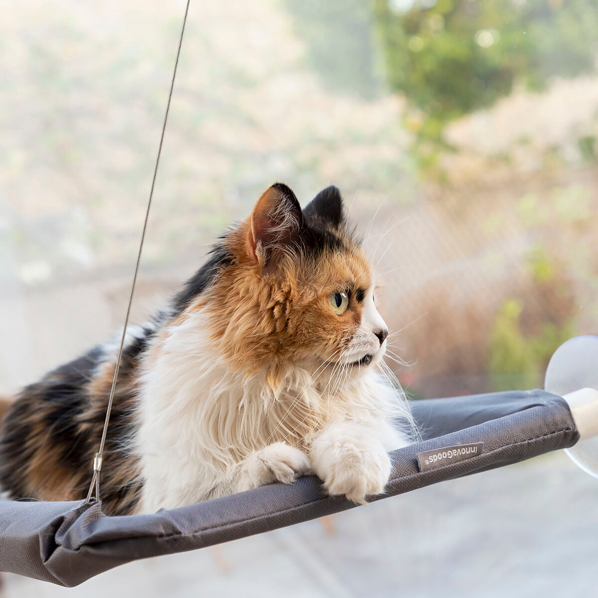 Hamaca de ventana para gatos con ventosas (hasta 30 kg)