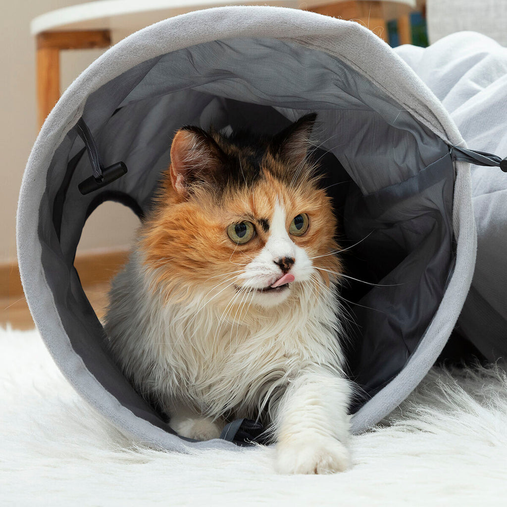 Túnel plegable para gatos con 2 ventanas (114 cm)